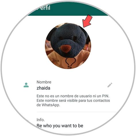 Significado de quitar la foto de perfil de WhatsApp, según la 